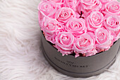 Sophias Secret® - Rose Box