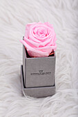 Sophias Secret® - Rose Box