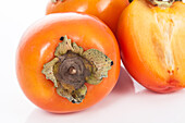 Diospyros persimmon