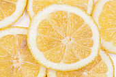 Citrus limon