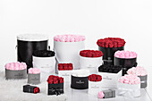 Sophias Secret® - Rose boxes