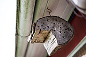 Insect hotel