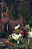 Reindeer Deco