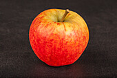 Apple 'Rubens'®
