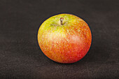 Apple 'Cox Orange