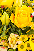 Rosa, Lilium, Chrysanthemum hortorum, gelb