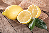 Citrus limon