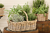 Herb basket