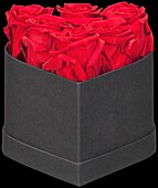 Sophia's Secret Rose Box