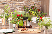 Kitchen ambience with herbs