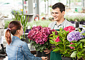 Garden centre salesmen and women