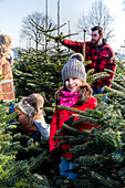 Familiie beim Weihnachtsbaumkauf 