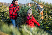 Choosing a Christmas tree with the family