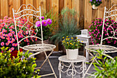 Terrace with colourful potted plants