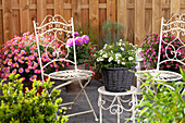 Terrace with colourful summer flowers