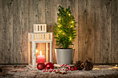 Dwarf conifer with Christmas decoration