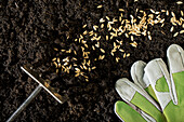 Seeds with gloves and rake