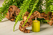 Candle under fern leaves