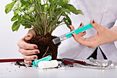 Plant doctor - Stethoscope with plant and syringe
