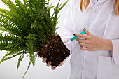 Pflanzendoktor - Pflanze mit Spritze 
