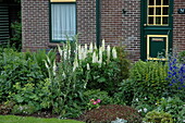 Flower bed in front of the house