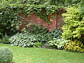Perennial border in front of a wall