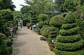 topiaries