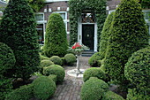 Front garden with topiaries
