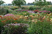 Perennial garden