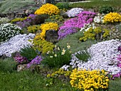 Rockery bed