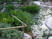 Water garden