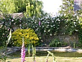 Pond in front of wall