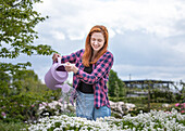 Flowers watering