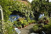 Terrace with potted plants