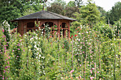 Garden shed in rose garden