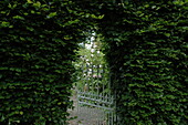Hedge portal
