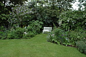 Bench in the garden