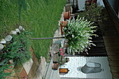 Front garden with willow stems