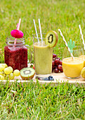 Bunte Smoothies