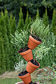 Herb tower