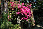 Statue vor Rhododendron