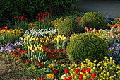 Bed with tulips and box balls