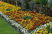 Bed with pansies