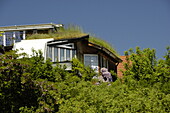 Green roofs