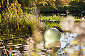Pond in autumn