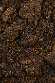 Soil for green plants and palms