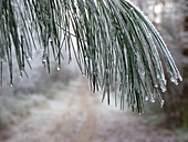 Winterlandschaft