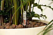 Hydroponics - growing pot