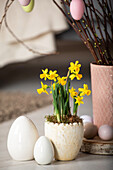 Easter - Daffodils