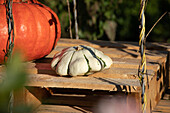 Pumpkins on wooden crate